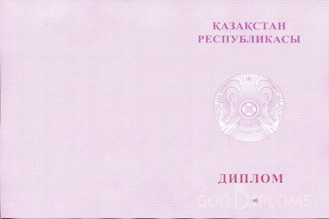 Казахский диплом магистра с отличием - Обратная сторона- Минск
